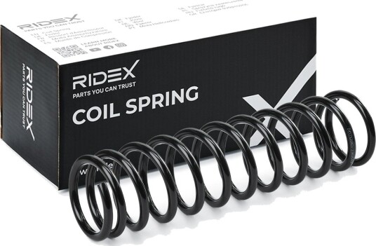 RIDEX 188C0569 Fjær