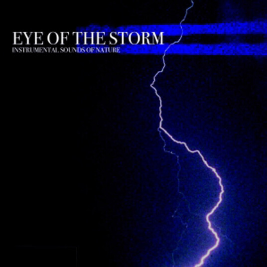 Diverse Artister Eye Of The Storm CD