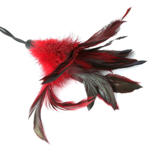 Sportsheets Pleasure Feather