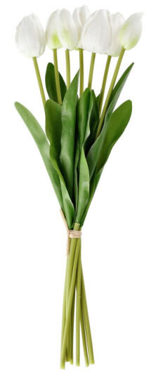 Tulipanbukett Talea; 48 cm L; Hvit