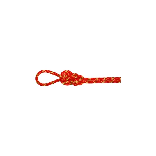 Mammut 8.0 Alpine Core Protect Dry Rope 50m Fire halo One size Mammut 8.0 Alpine Core Protect Dry Rope 50m Fire halo One size