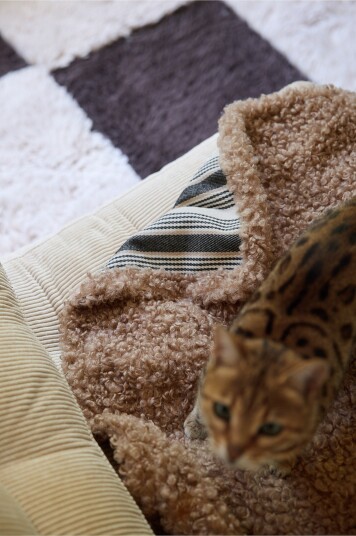 Jotex    Hund/kattpläd Beige   KRULLE    Kjøp Pledd hos Jotex