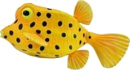 Collecta Kostera Figur Skummel
