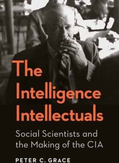 The Intelligence Intellectuals