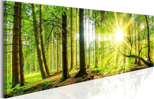Bilde Majestic Trees 135x45 Artgeist sp. z o. o.