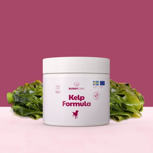 Buddy Petfoods Buddycare Kelp Formula 250 G