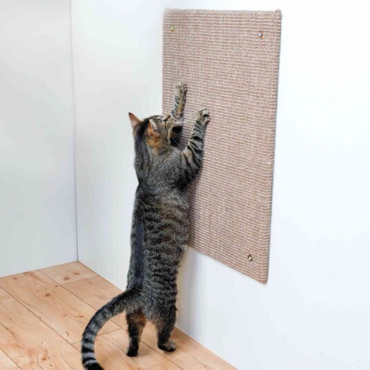 Kattinorge Klorebrett matte
