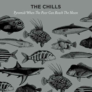 The Chills Pyramid LP/Vinyl