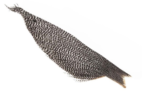 Whiting Dryfly Cape 1/2 Grizzly