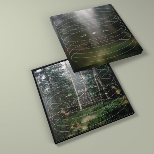 Gidge  AB10  LP/Vinyl