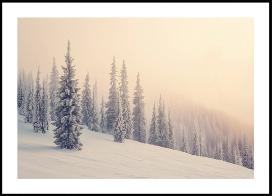 Winter Landscape Snowy Pines Plakat Plakat / 50x70cm