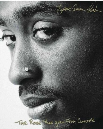The Rose That Grew From Concrete Av Tupac Shakur The Rose That Grew From Concrete Av Tupac Shakur