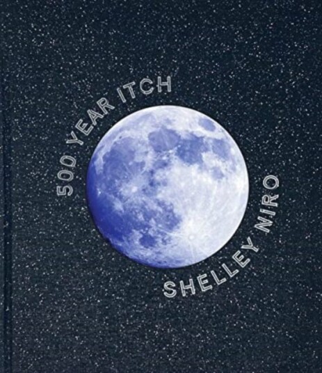 Shelley Niro  500 Year Itch