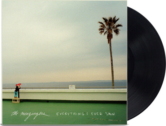 Everything I Ever Saw Everything I Ever Saw