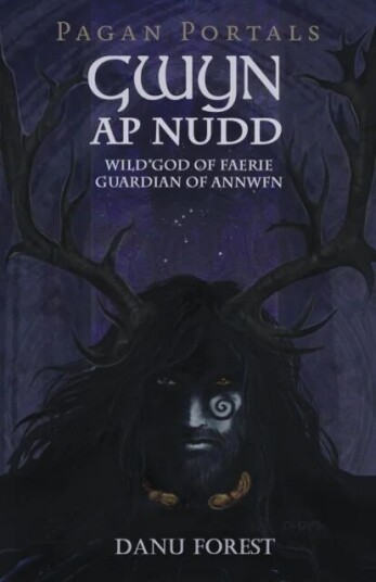 Pagan Portals - Gwyn Ap Nudd - Wild God Of Faery, Guardian Of Annwfn Av Danu Forest