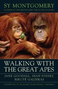 Walking With The Great Apes Av Sy Montgomery Walking With The Great Apes Av Sy Montgomery