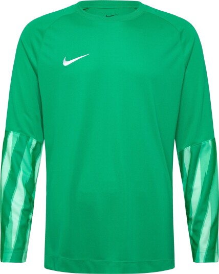 Nike M Nk Df Park V Gk Jsy Ls   Green   M