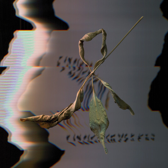 T. Gowdy Trill Scan CD