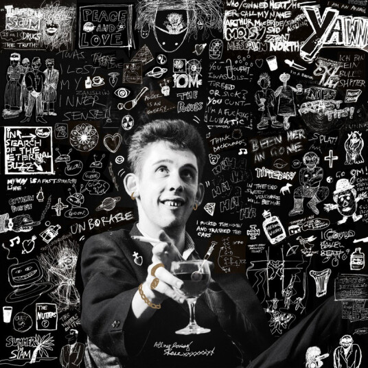 Shane MacGowan Bruce Springsteen Tom Waits U2 Bob Geldof Primal Scream Hozier The Libertines Dropkick Murphys Steve Earle The Pogues The Jesus And Mary Chain 20th Century Paddy – The Songs of Shane MacGowan CD