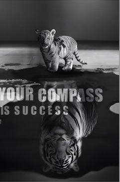 Plakat – YOUR COMPASS IS SUCCESS Plakat – YOUR COMPASS IS SUCCESS
