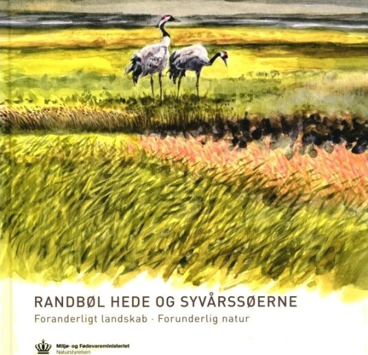 Randbøl Hede Og Syvårssøerne | Gert Hougaard Rasmussen | Språk: Dansk