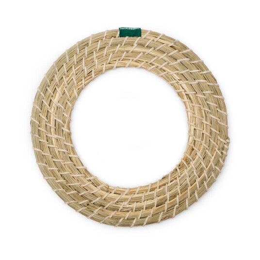Seagrass Flying Disc Seagrass Flying Disc