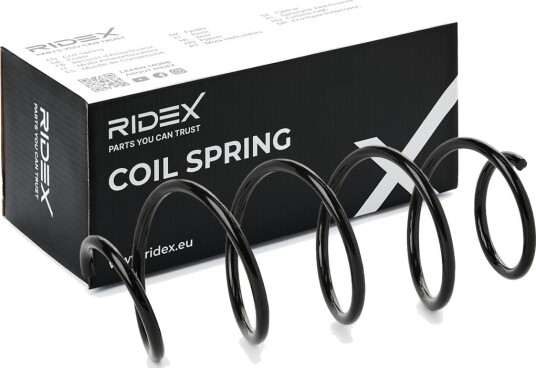 RIDEX 188C1303 Fjær
