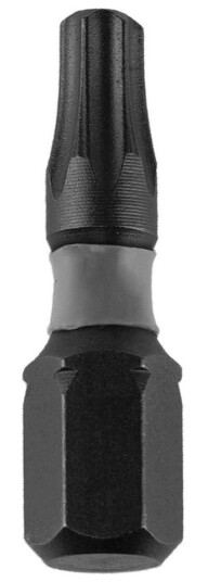 Dedra Torx T20x25mm Slagskrutrekkerbits, 10 Stk Boks