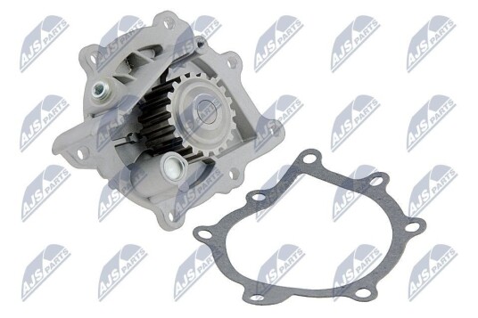 Vannpumpe NTY CPW CT 029