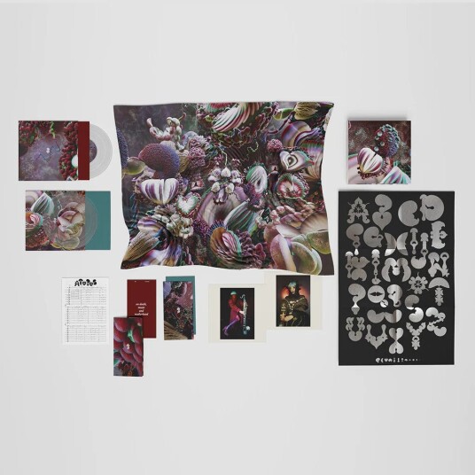 Björk Fossora LP/Vinyl