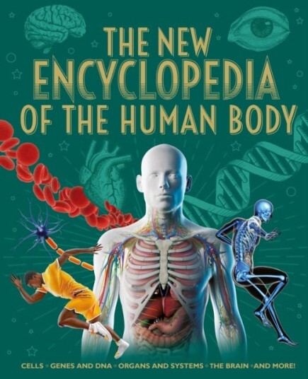 The New Encyclopedia of the Human Body Cells Genes and DNA Organs and Systems the Brain and More! The New Encyclopedia of the Human Body Cells Genes and DNA Organs and Systems the Brain and More!