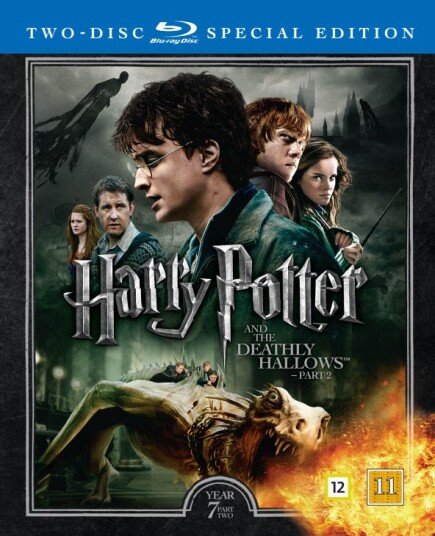 Harry Potter Og Dødstalismanene Del 2 (8)