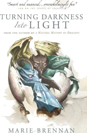 Turning Darkness Into Light Av Marie Brennan