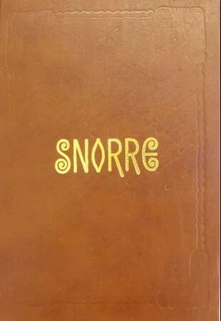 Snorre Sturlasons Kongesagaer - Kagge Forlag, Norsk Bok om Historie og Kultur