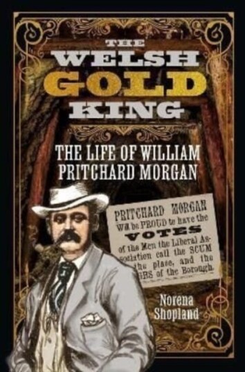 The Welsh Gold King Av Norena Shopland