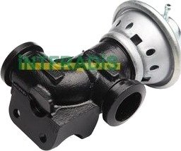 EGR-ventil INTFRADIS 25879 EGR-ventil INTFRADIS 25879