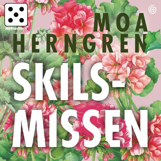Skilsmissen Av Moa Herngren