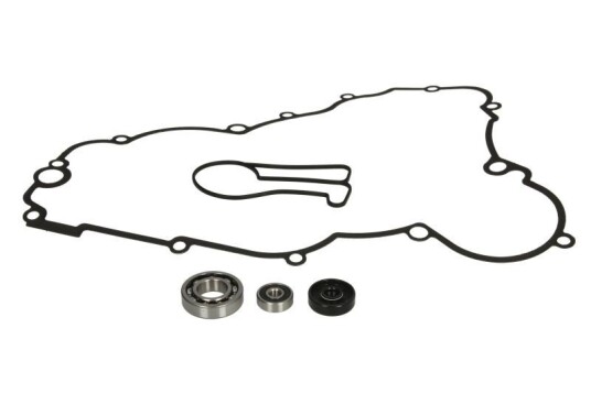 WINDEROSA 821976 Pakning vannpumpe