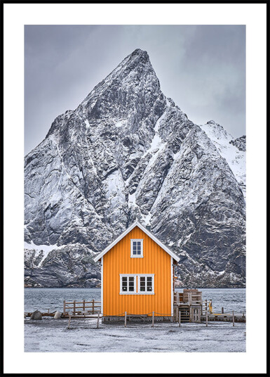 Dsf1216 1 Plakat Plakat / 30x40cm