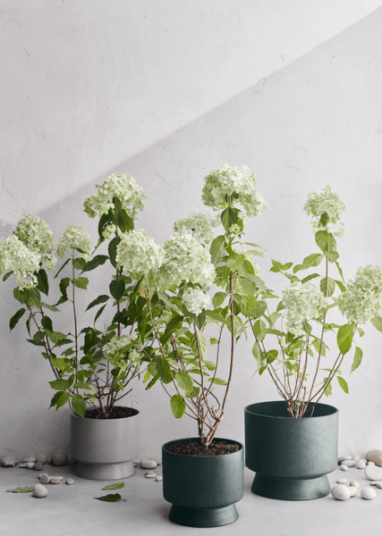 Rosendahl Ro blomsterkrukke Ø 30 cm Mørkegrønn