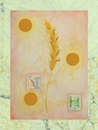 The Neon Hieroglyph Av Tai Shani, Amy Hale
