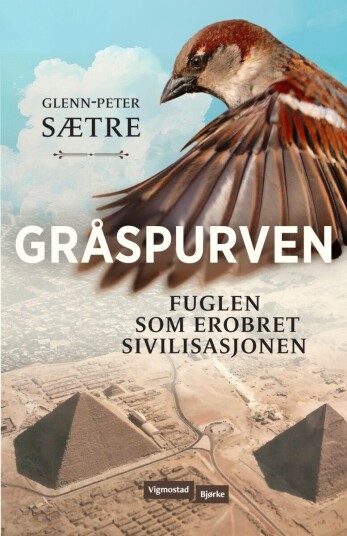 Gråspurven Gråspurven