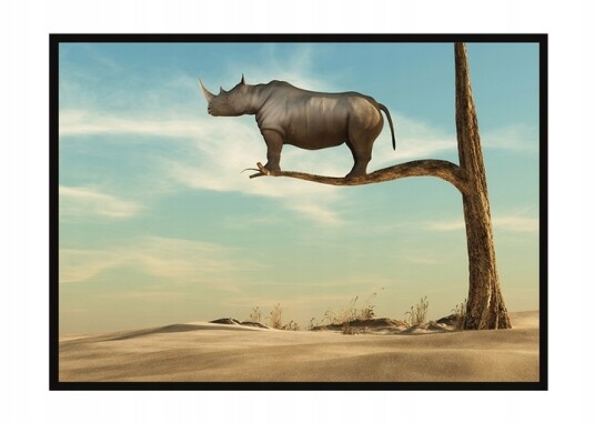 Plakat Neshorn