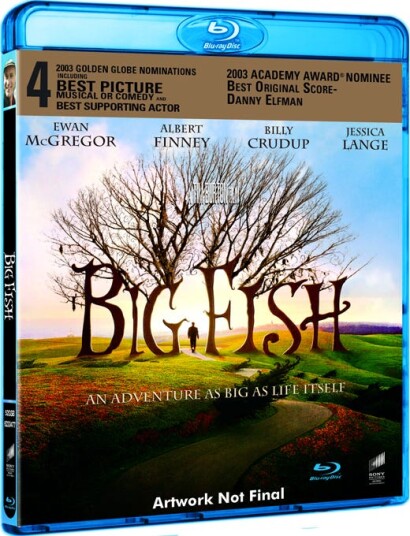 Big Fish Big Fish