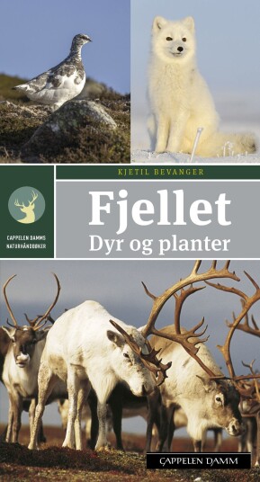 Fjellet  dyr og planter