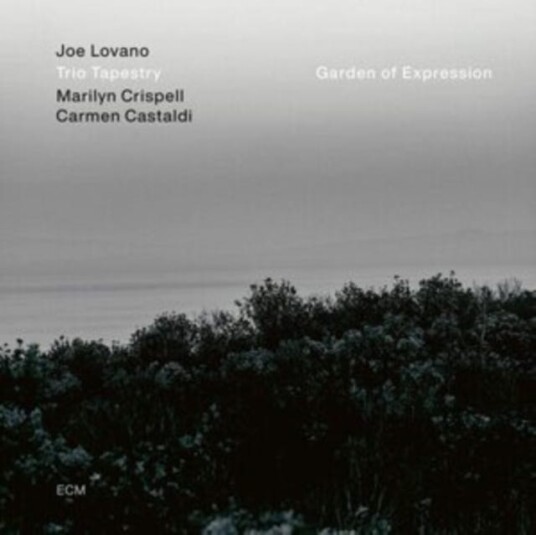 Joe Lovano  Garden Of Expression  CD