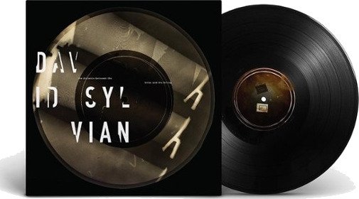 David Sylvian The Distance Between The Killer And The Killing Usa Vinyl