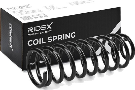RIDEX 188C1499 Fjær