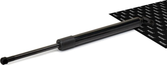RIDEX 219G0033 Baklukedemper