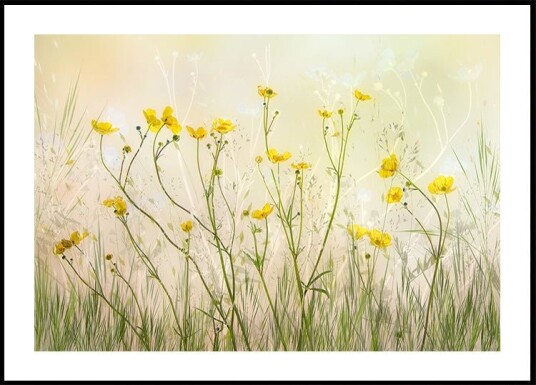 Good morning! Plakat Plakat / 40x50cm